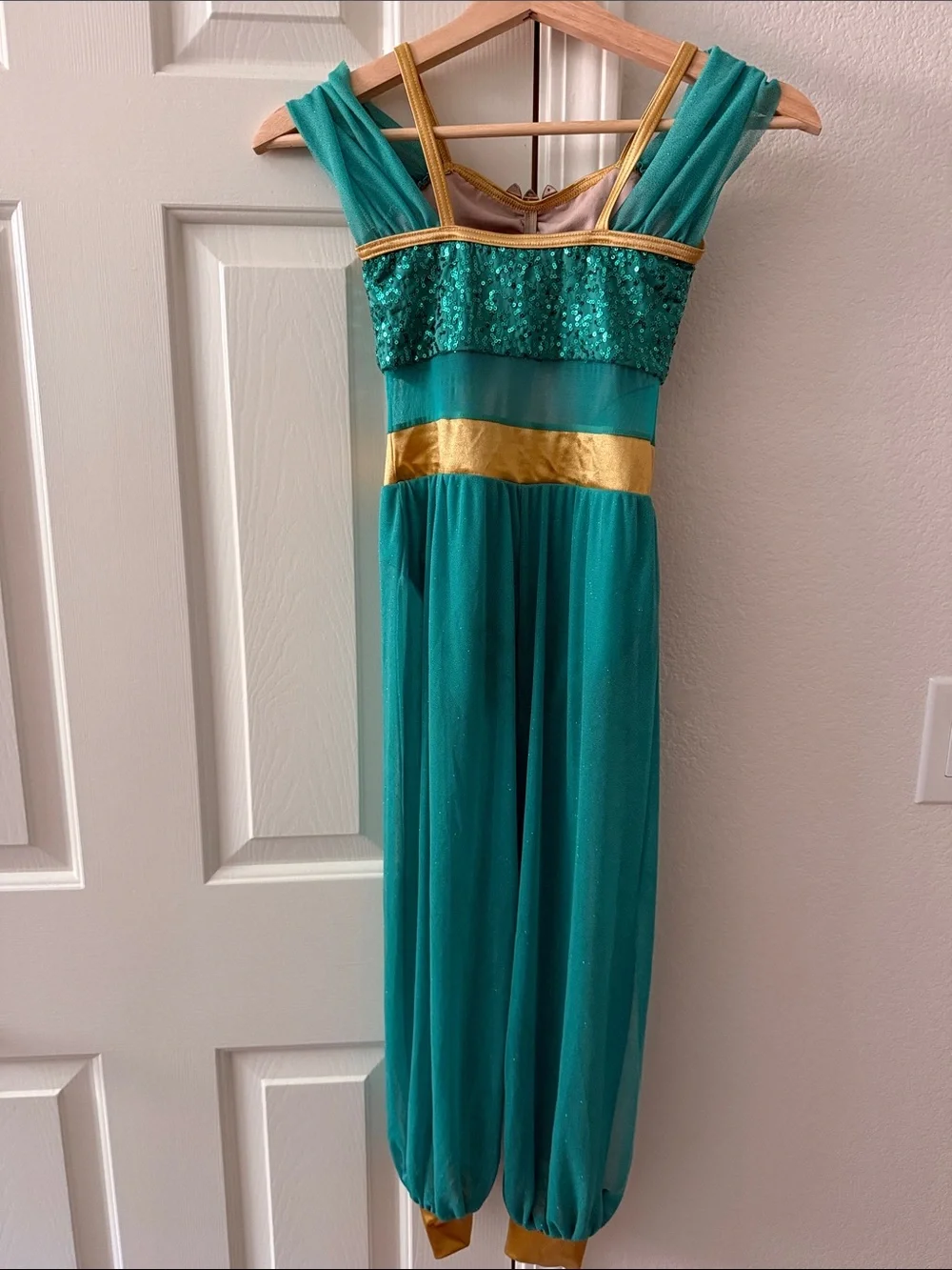 Princess Jasmine Costume